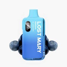 BLUEBERRY LOST MARY BM6000 REFILL PACK - Image 2